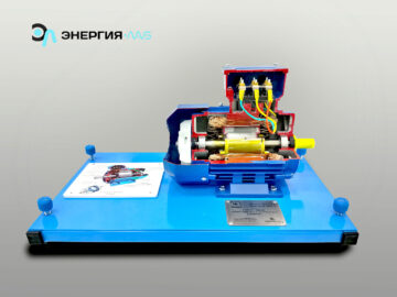 Учебная модель «Электродвигатель асинхронный в разрезе»