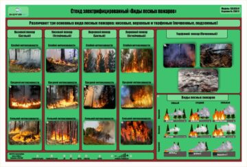 Стенд-планшет электрифицированный «Виды лесных пожаров»