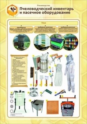 Учебные плакаты по пчеловодству, комплект