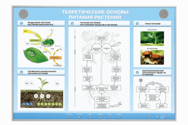 Электрофицированный стенд "Теоретические основы питания растений"
